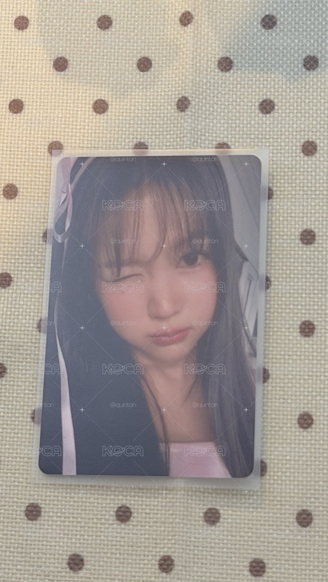 Focus 專輯卡 yeon