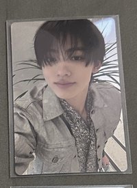 wvs預售