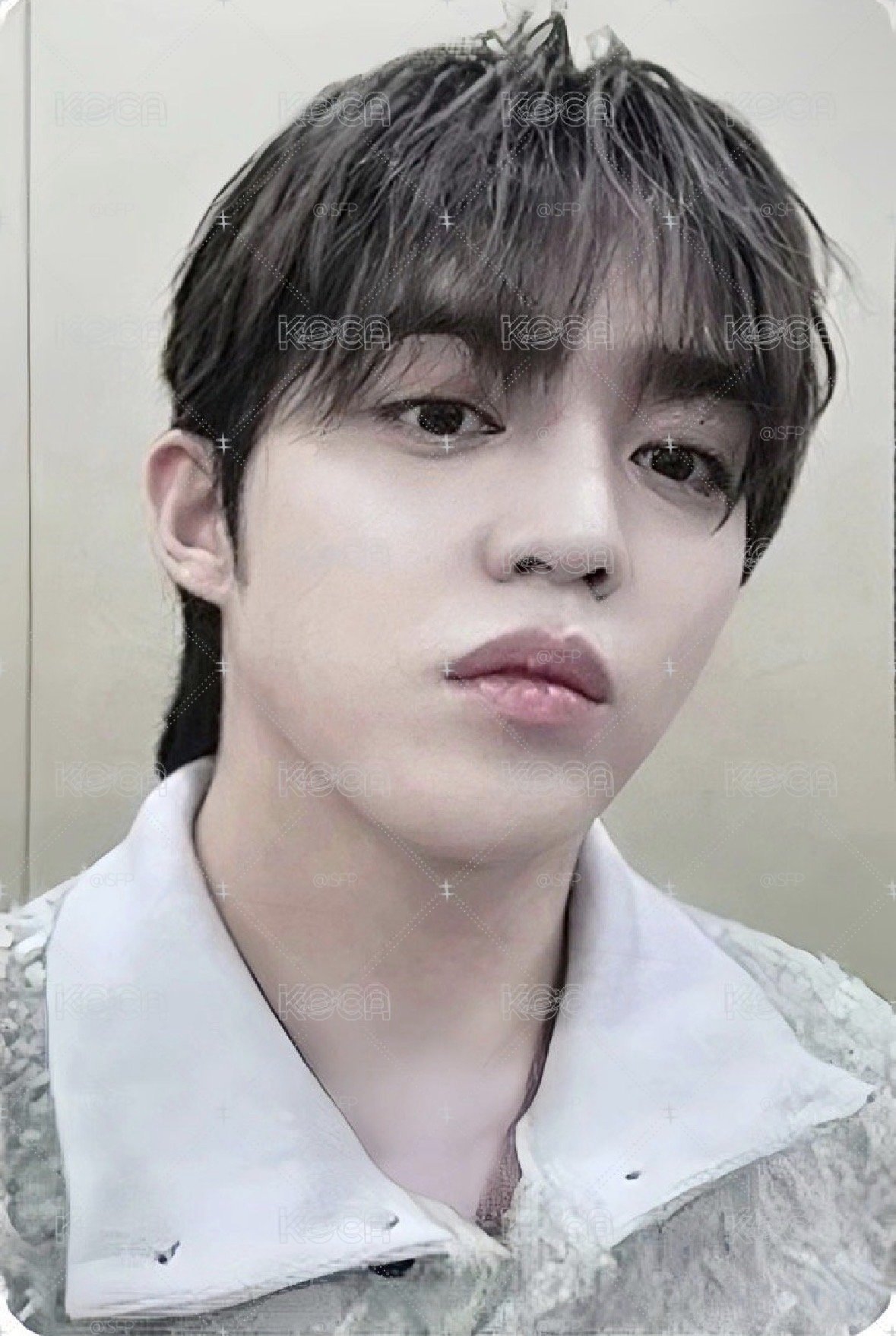 崔勝喆 十週年 集章卡 seventeen 