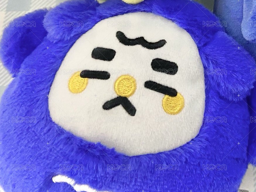 扁康謨