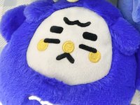 扁康謨