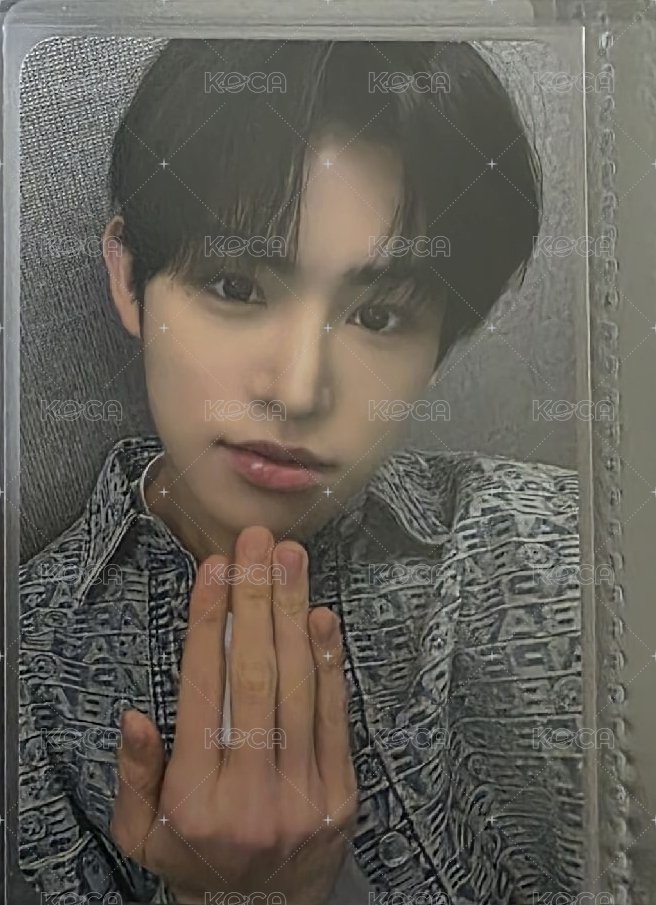 狗狗