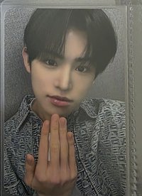 狗狗