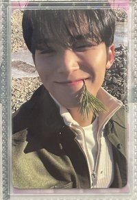 咬草奎