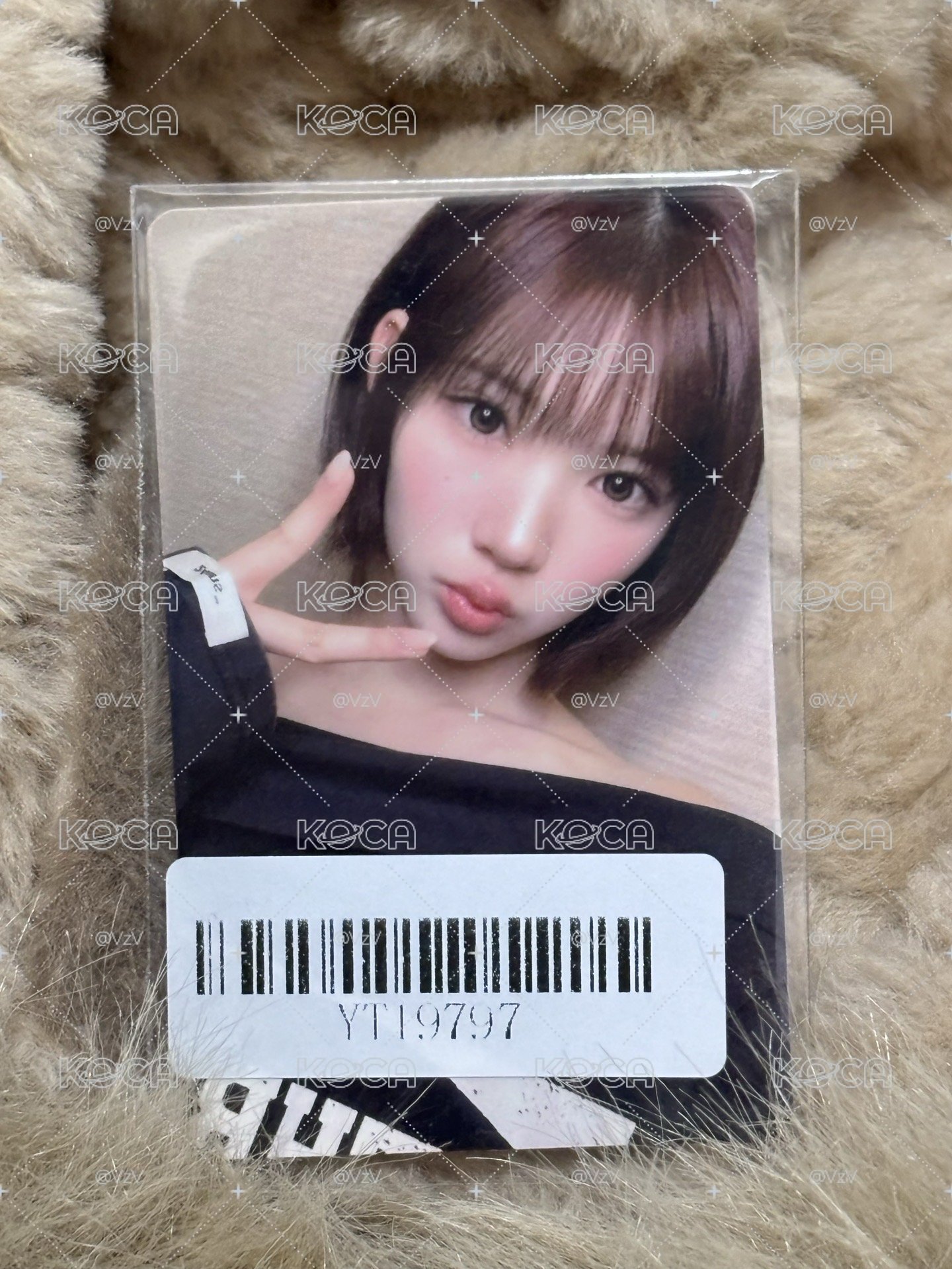 Jiwoo Focus kms 2.0 v1簽售卡 上海