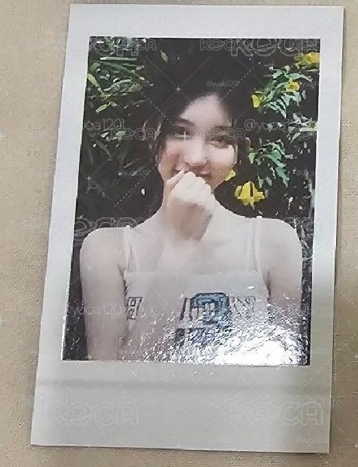 秋拍立得