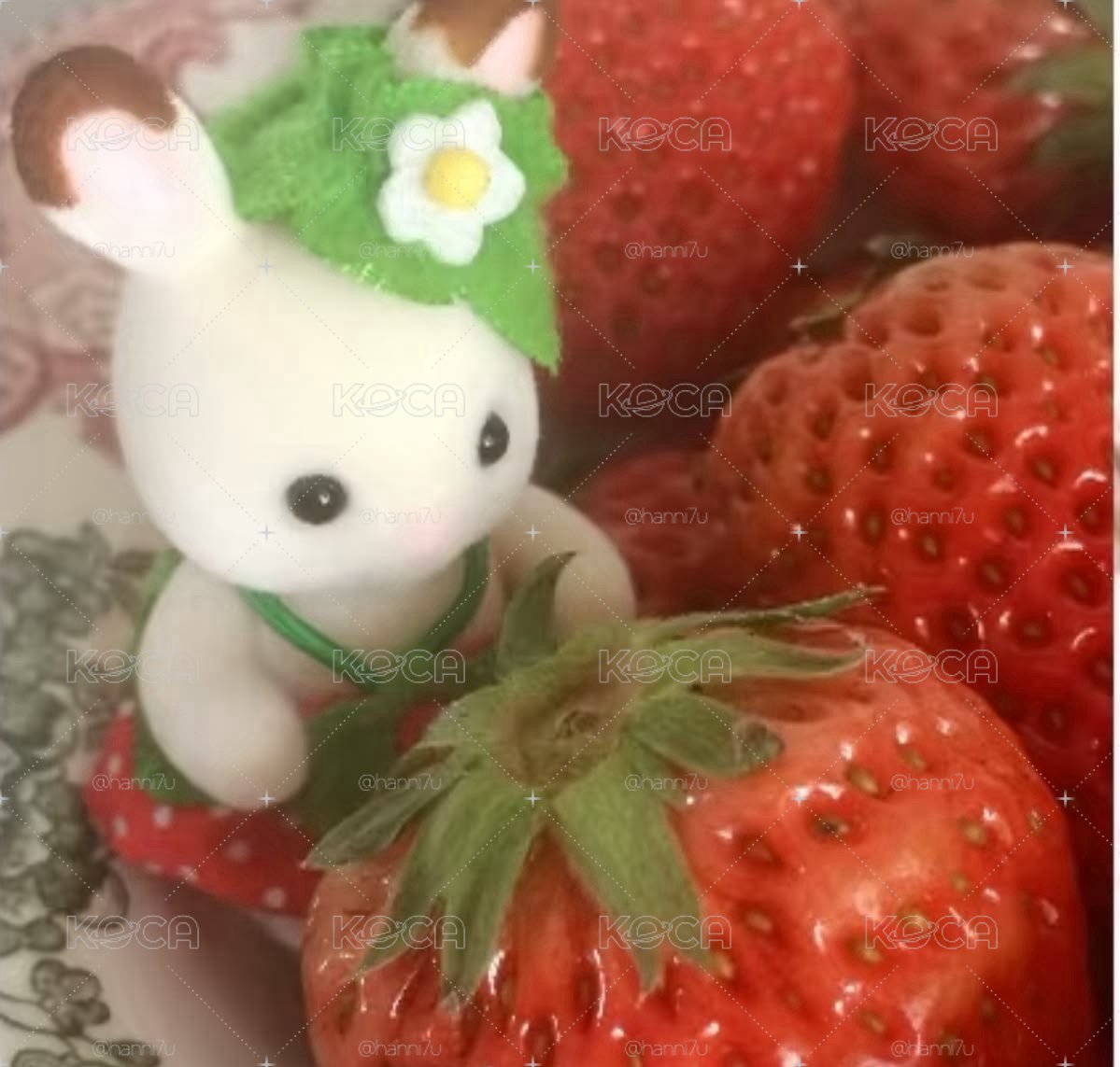 韓團福袋