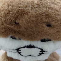 七彩指甲獺令🦦