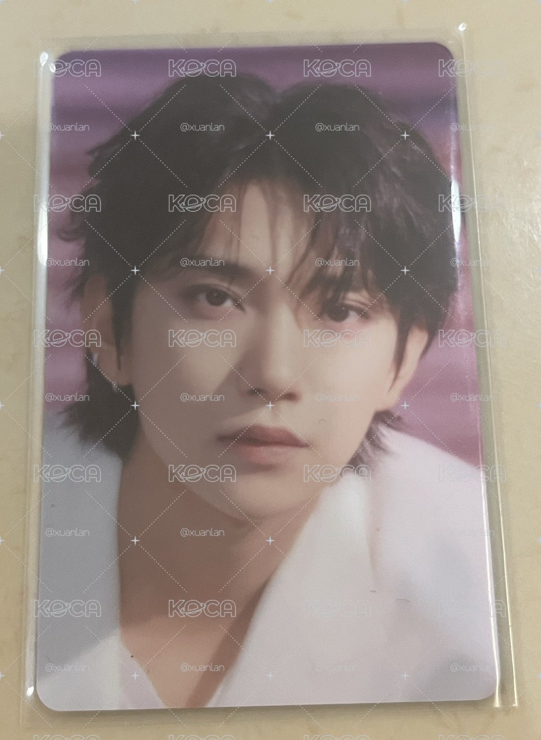 the daydream入場特典秀