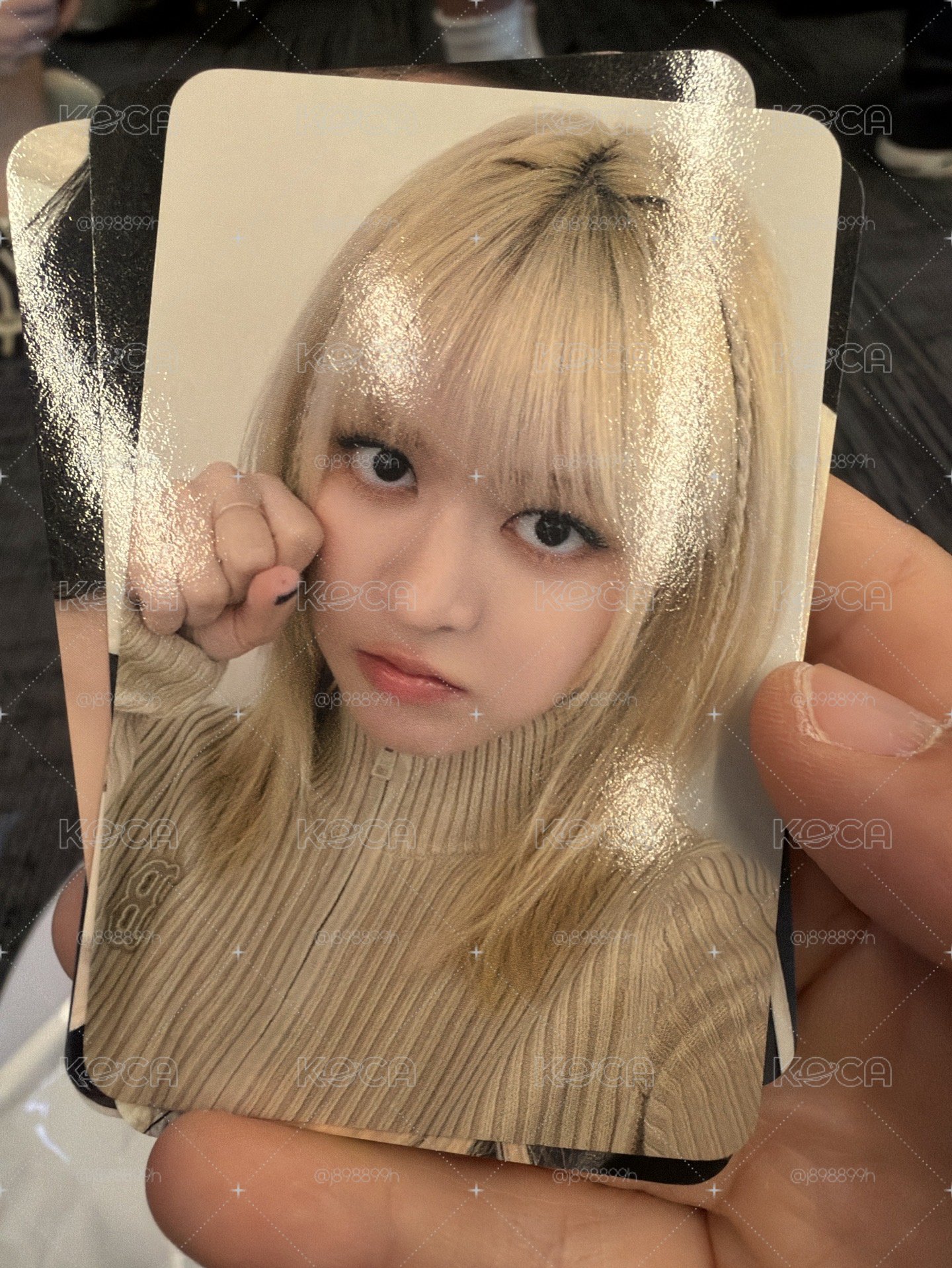 LILY世巡