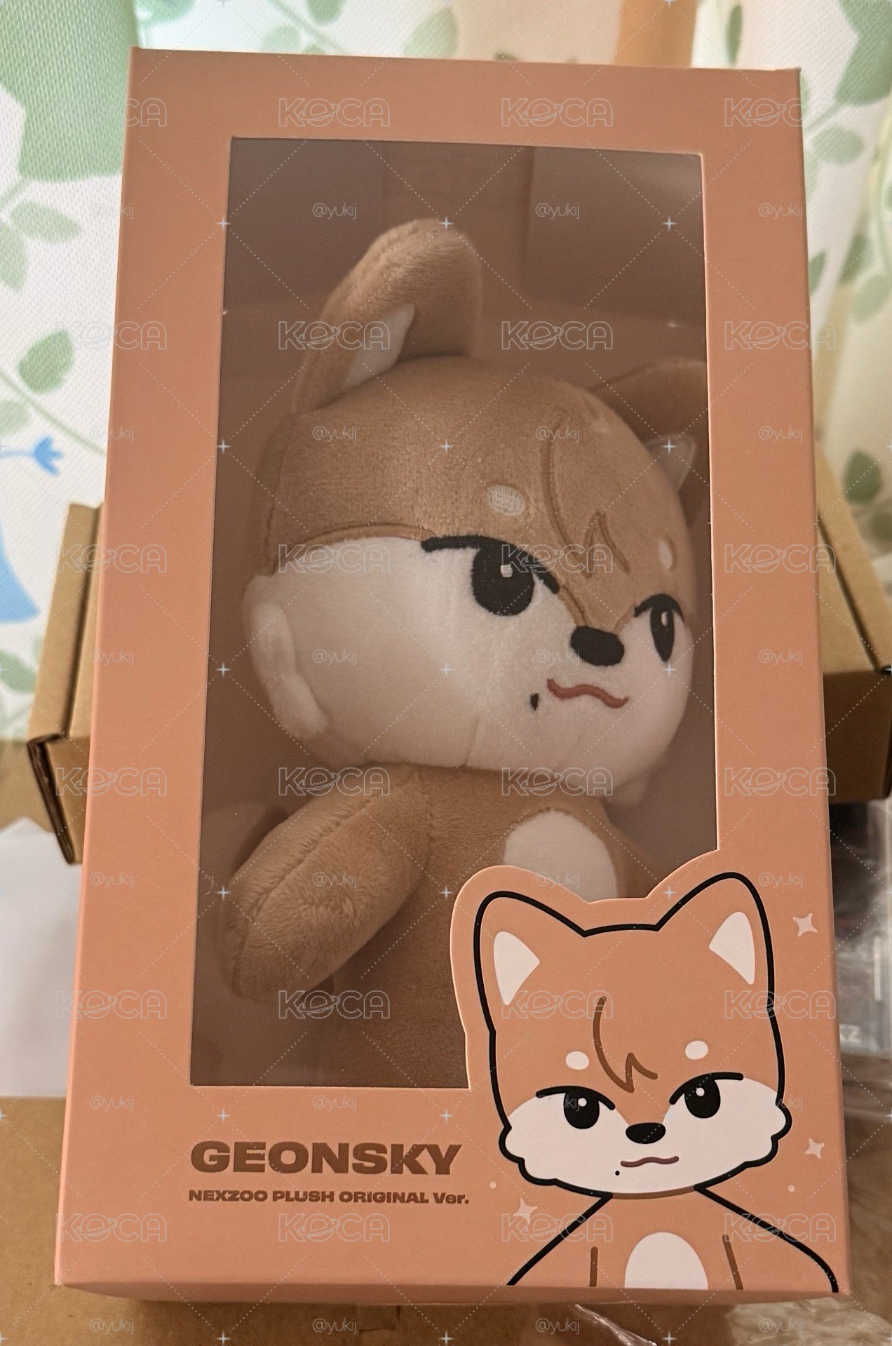 🐾 Geon 蘇建 盤出