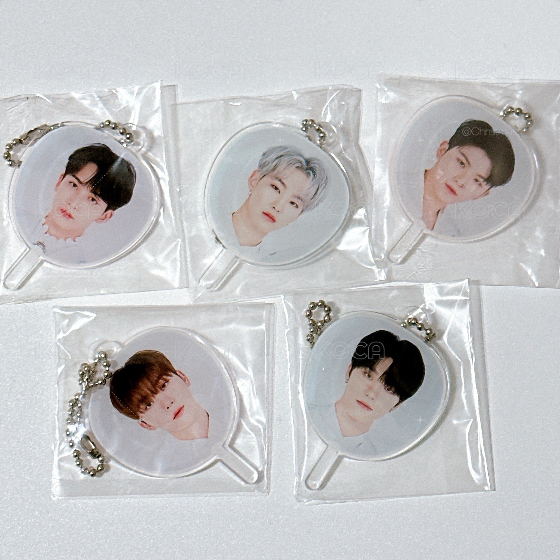 【Seventeen】蛋巡小扇