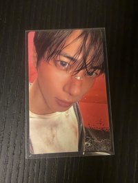 正規四wvs 特典顯
