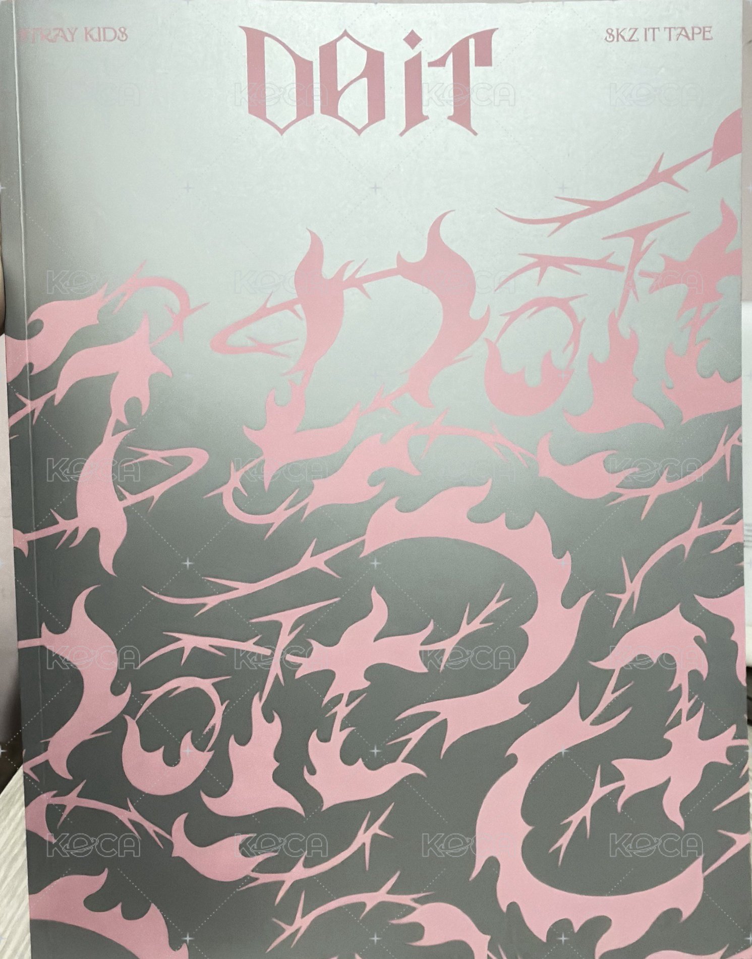 DOIT 普專（證件照貼紙+手作小書都有～