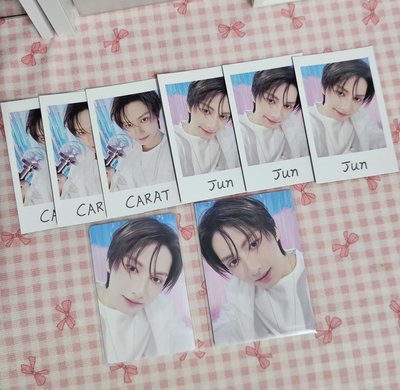 SEVENTEEN 飯咪拍立得 文俊輝