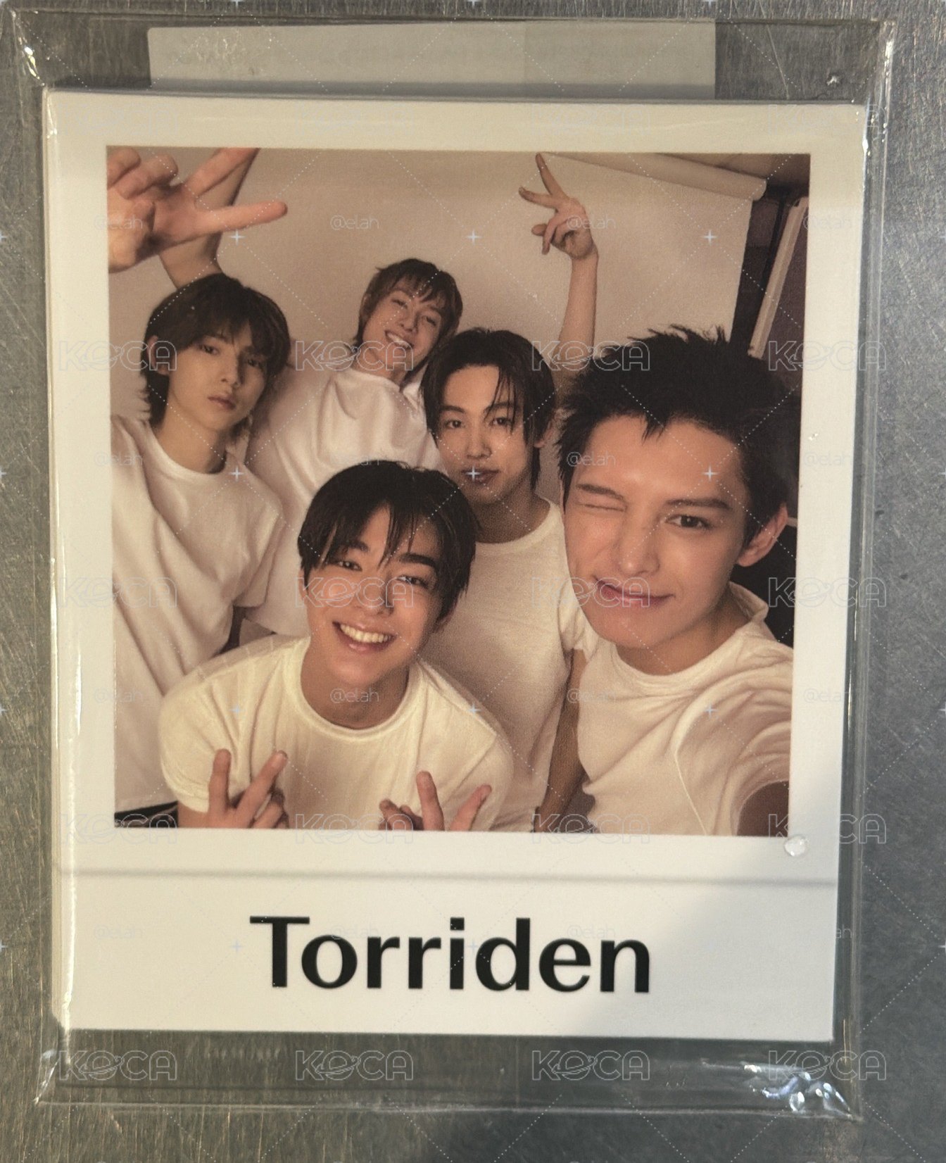 Torriden oy 代言卡 
