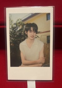 春日白拍