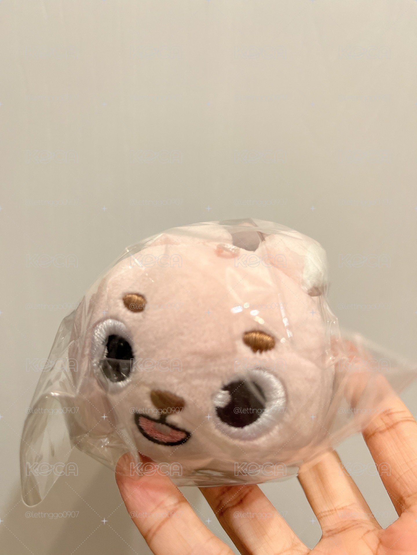 地方場 趴娃