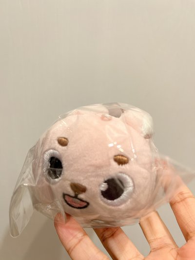 地方場 趴娃