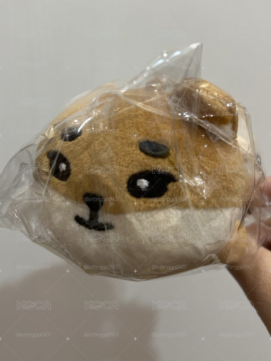 地方場 趴娃