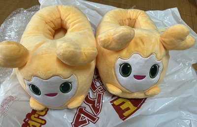 志效拖鞋