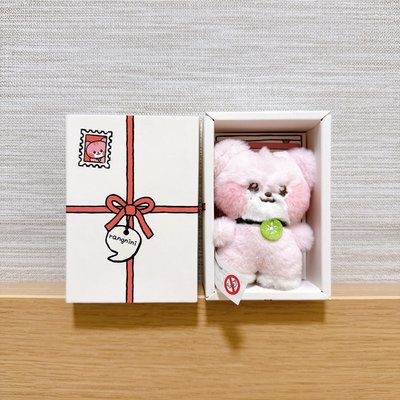 迷你盒娃 Anjini Naori Rangnini Dalnini 珍藏釋出