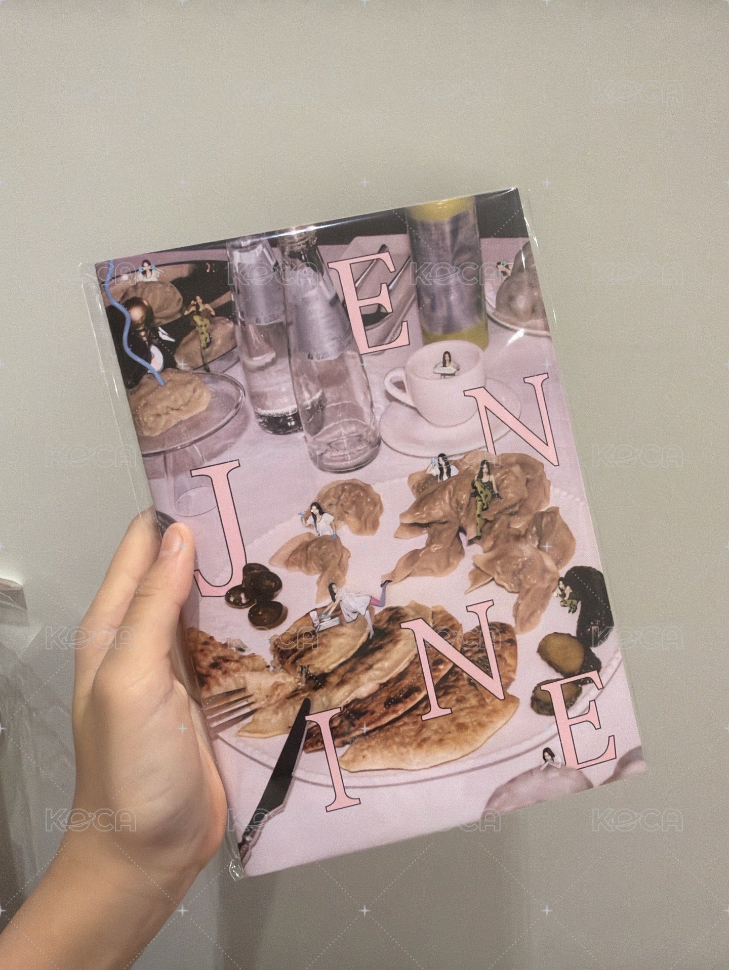 寫真書（未拆）