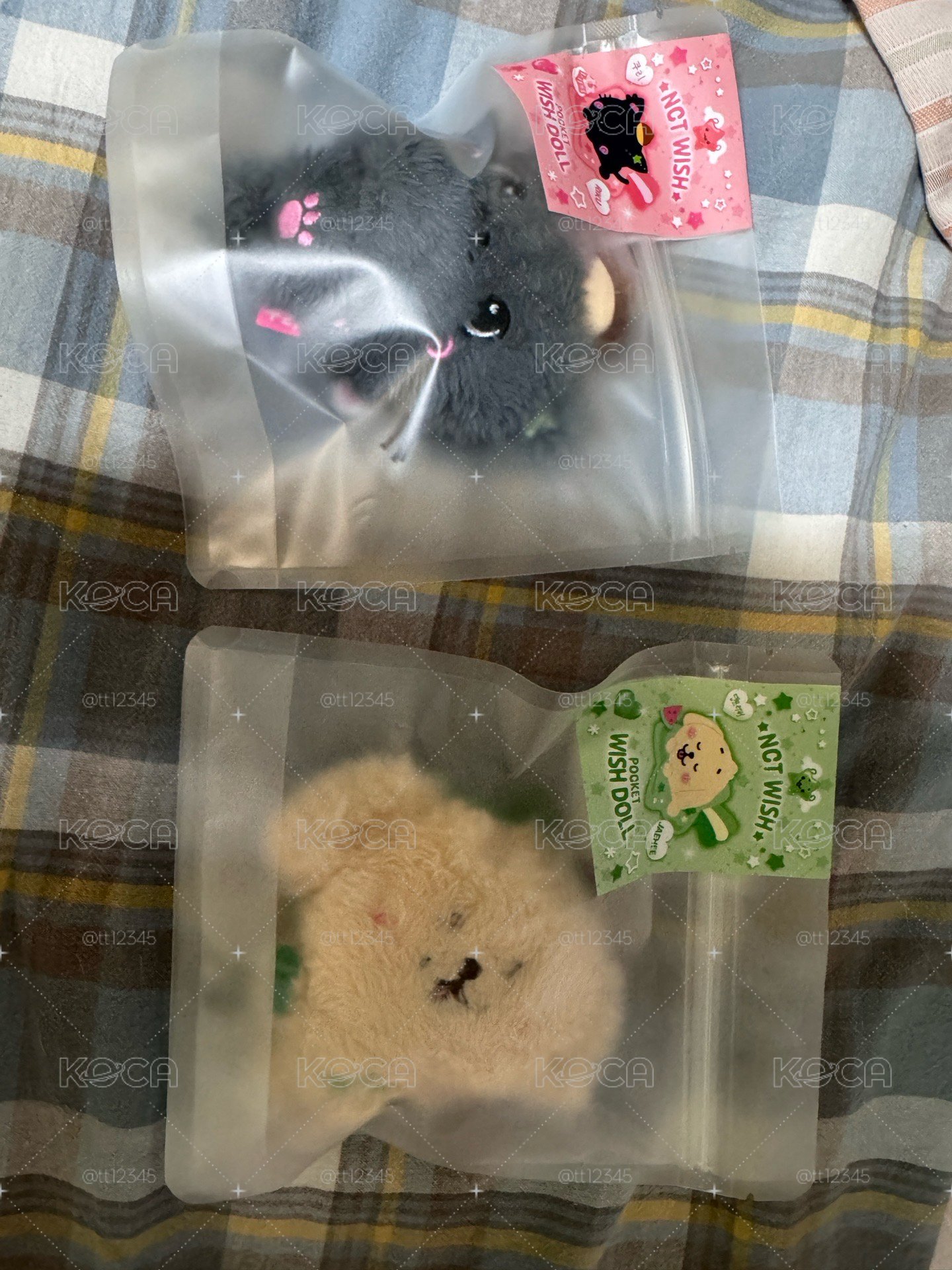 wish口袋娃