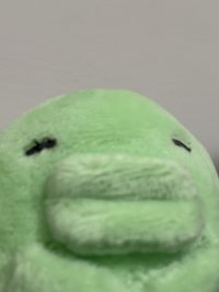 cc