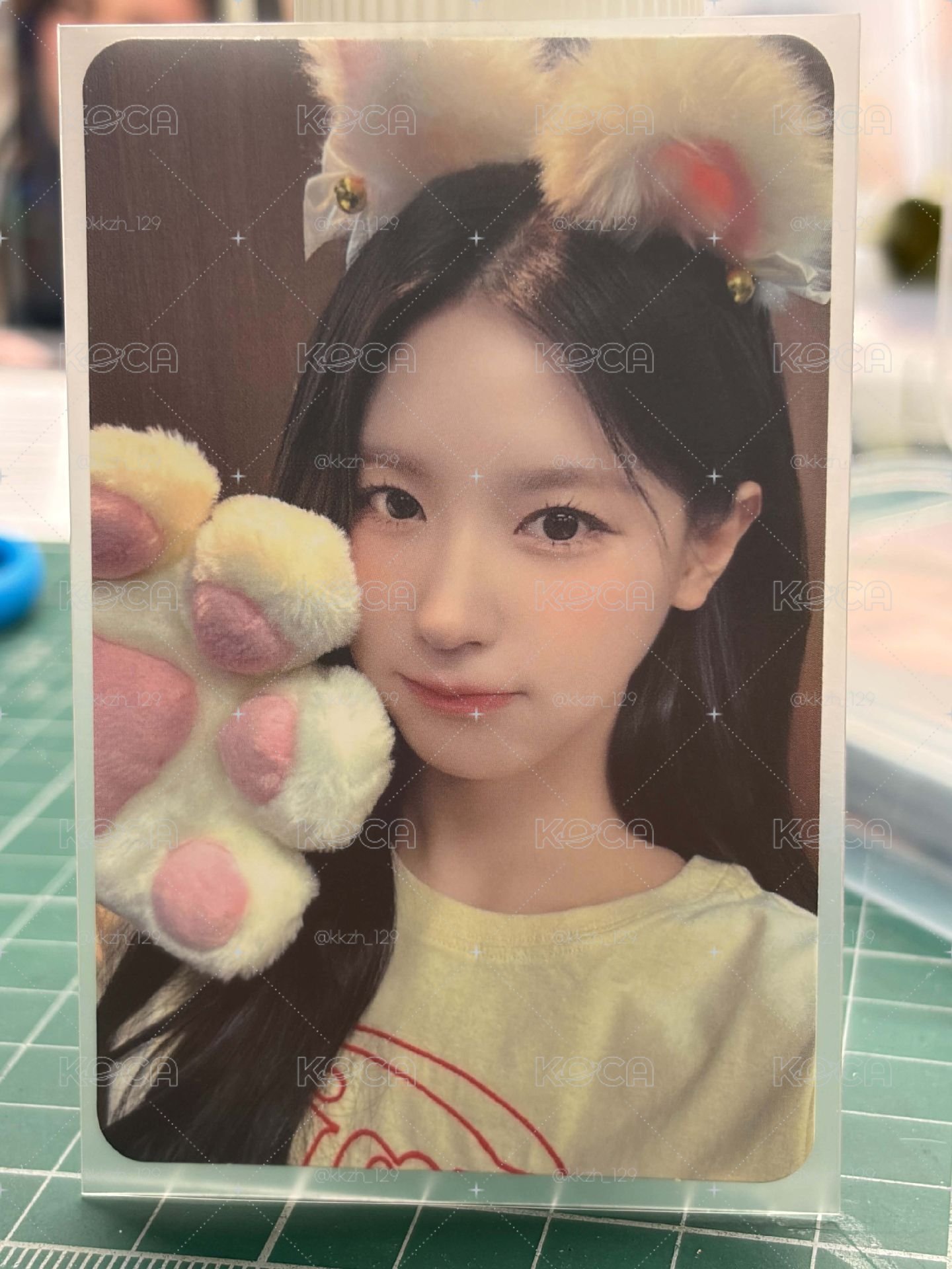 正規二ms貓爪麵