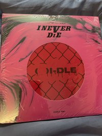 粉版