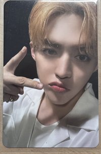 M12專卡比耶黑背