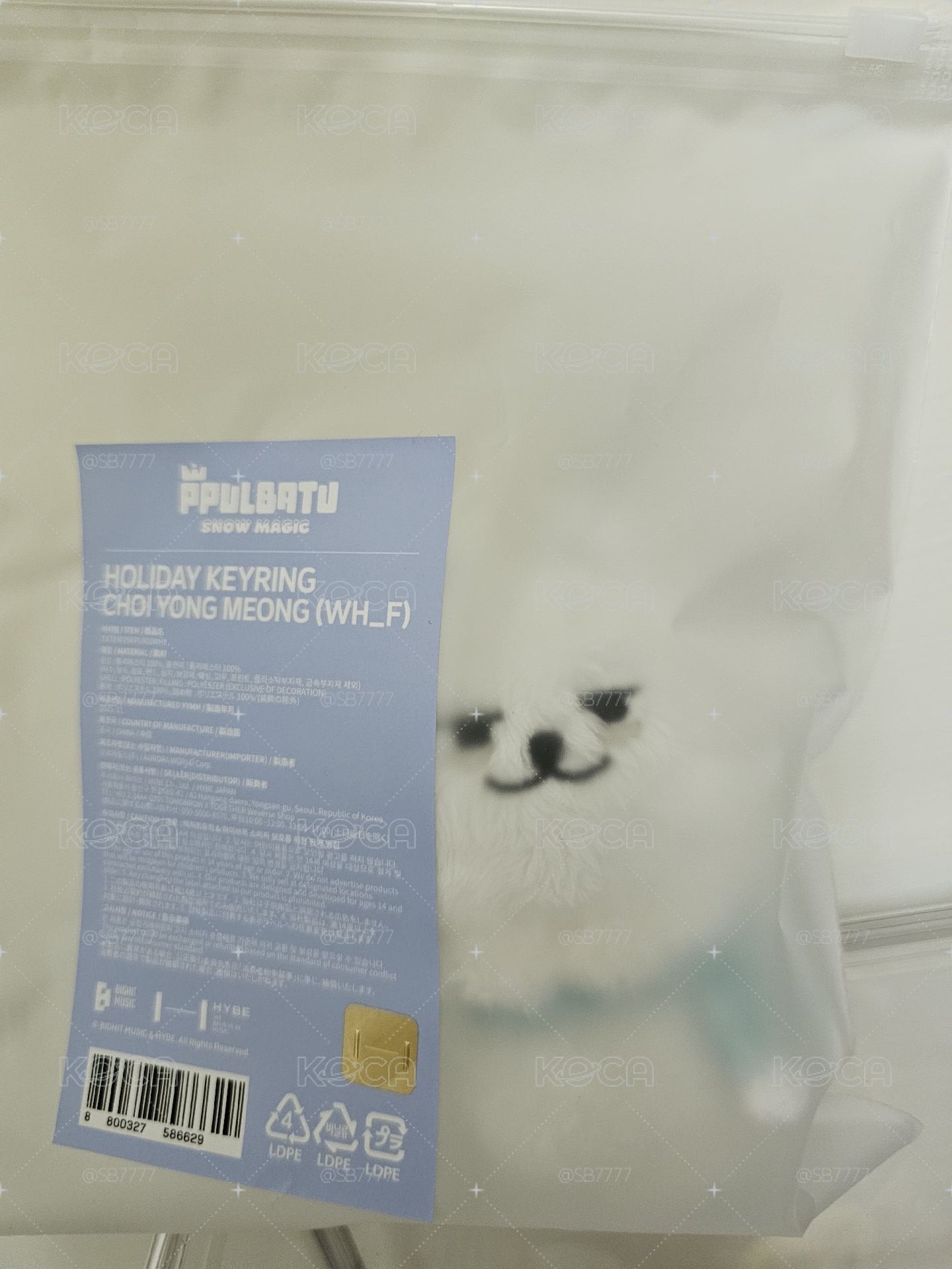 TXT雪猛