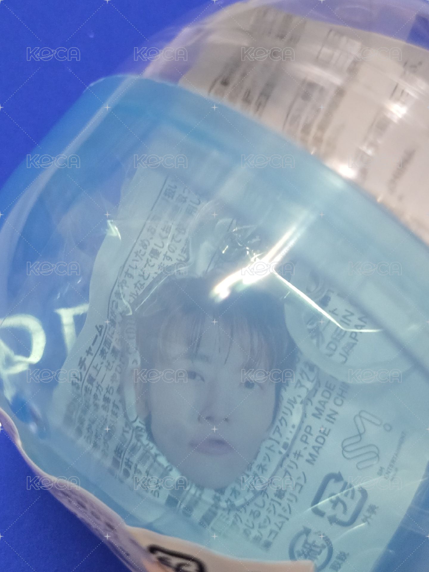 大頭海