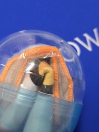 手帕特