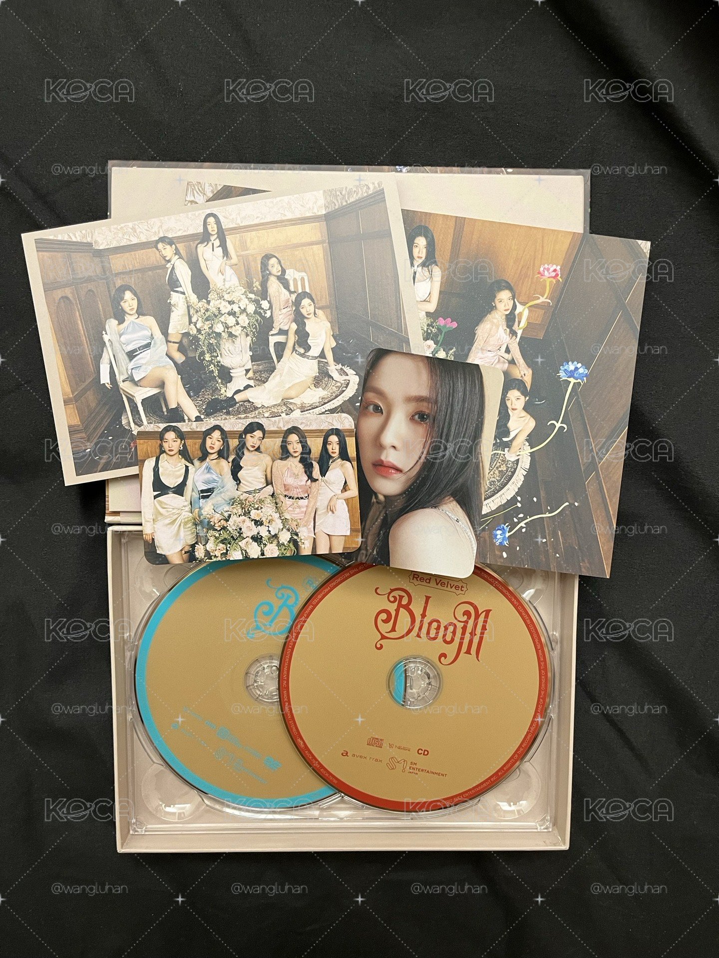 日專 Bloom 初回限定 CD+BD