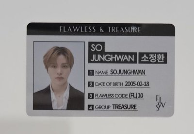 FLAWLESS & TREASURE JUNGHWAN