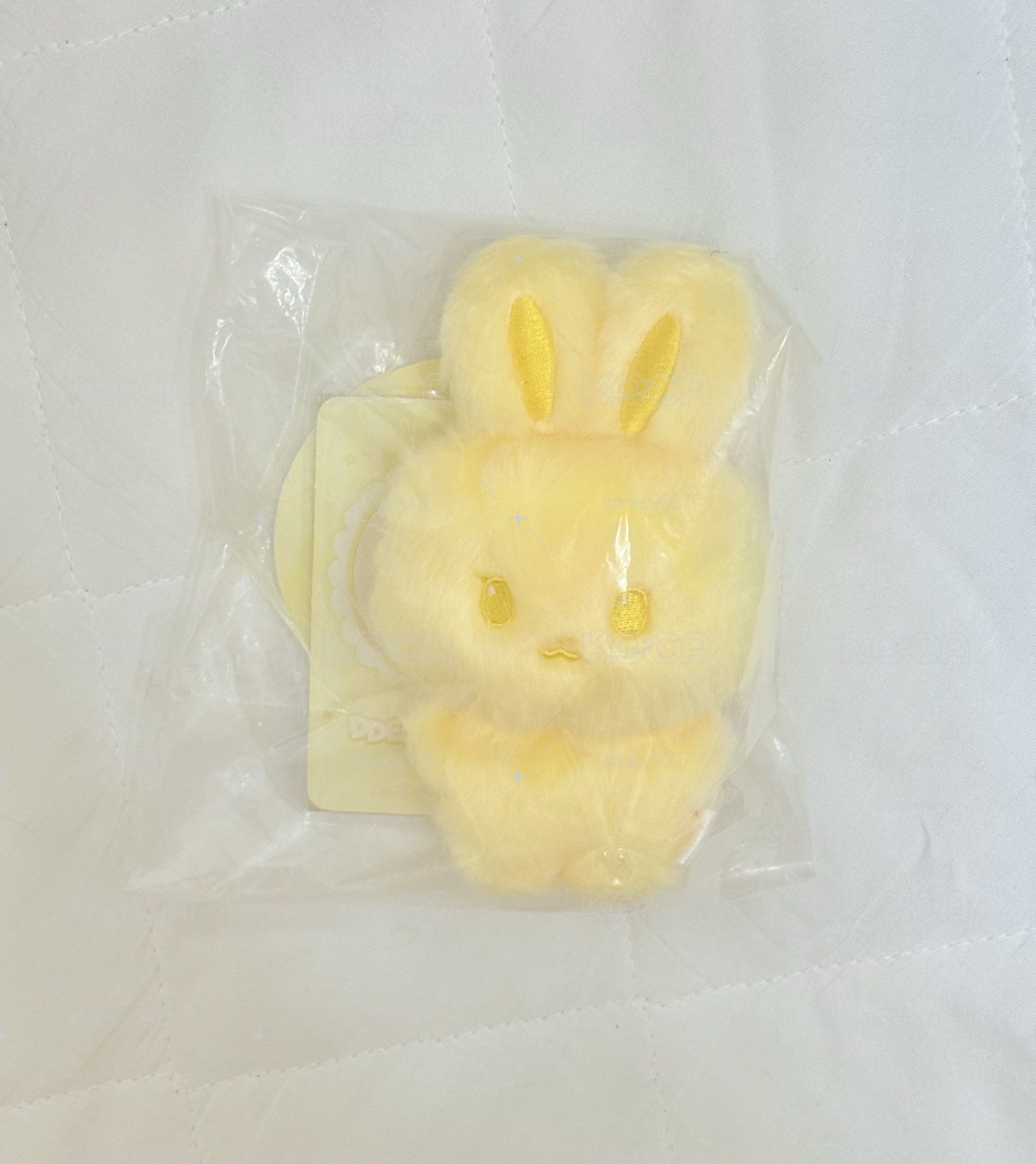 color快閃店現貨招財咚星含卡
