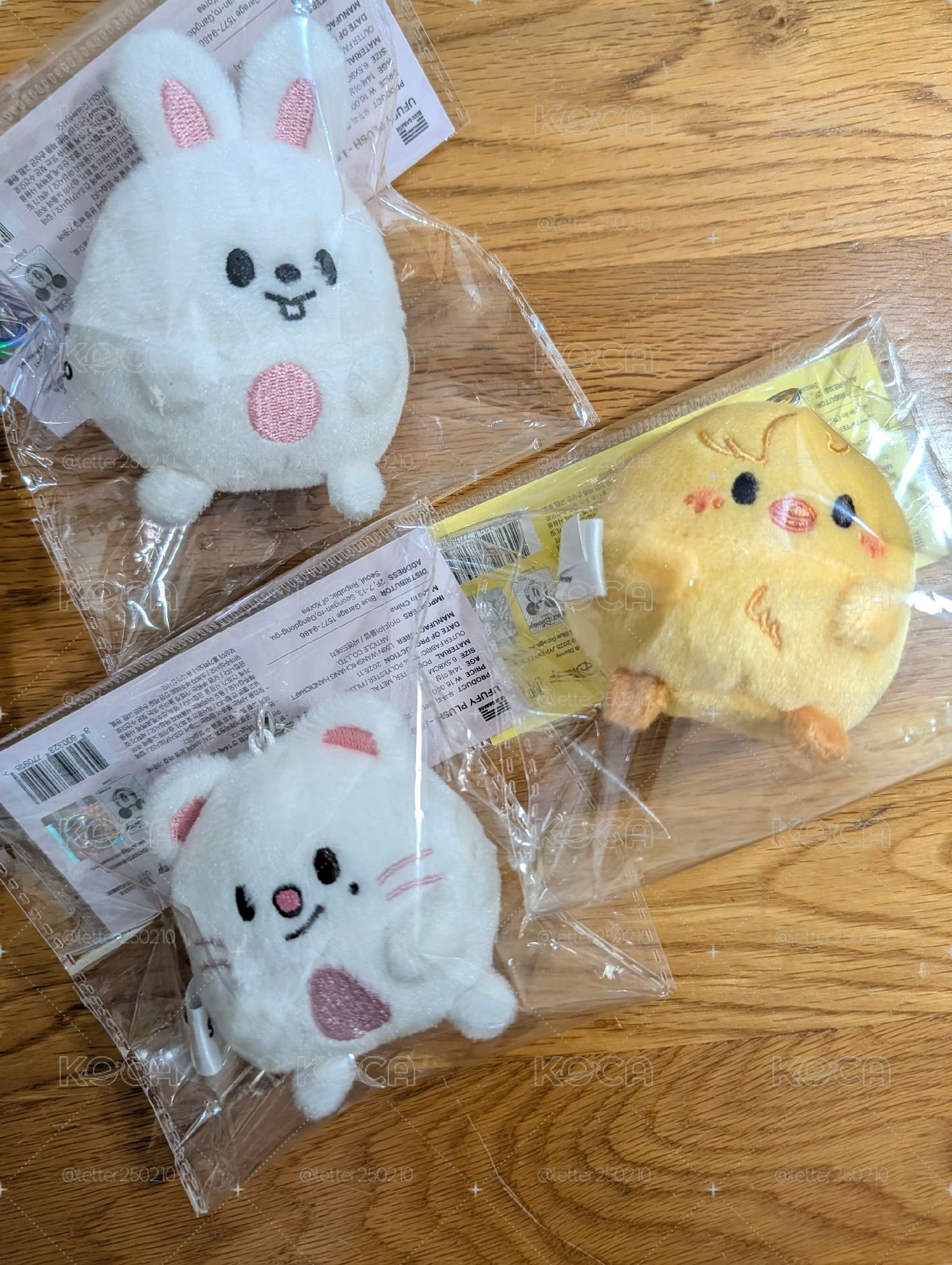 旻辰菲動物方程式娃