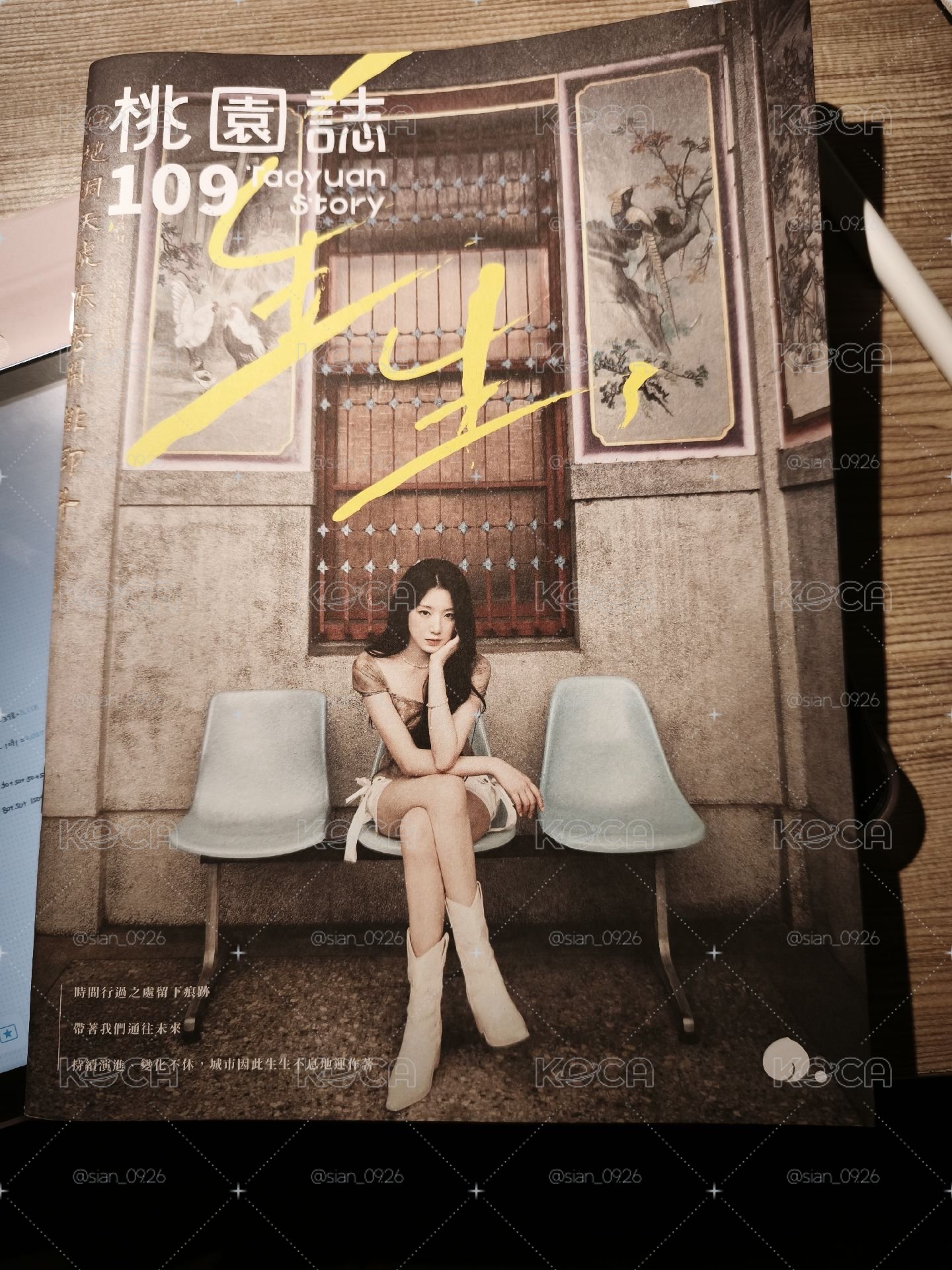 桃園誌