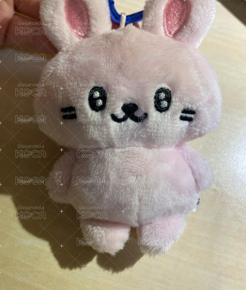 日周兔子