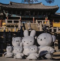 慶州限定 吊娃 石窟系列