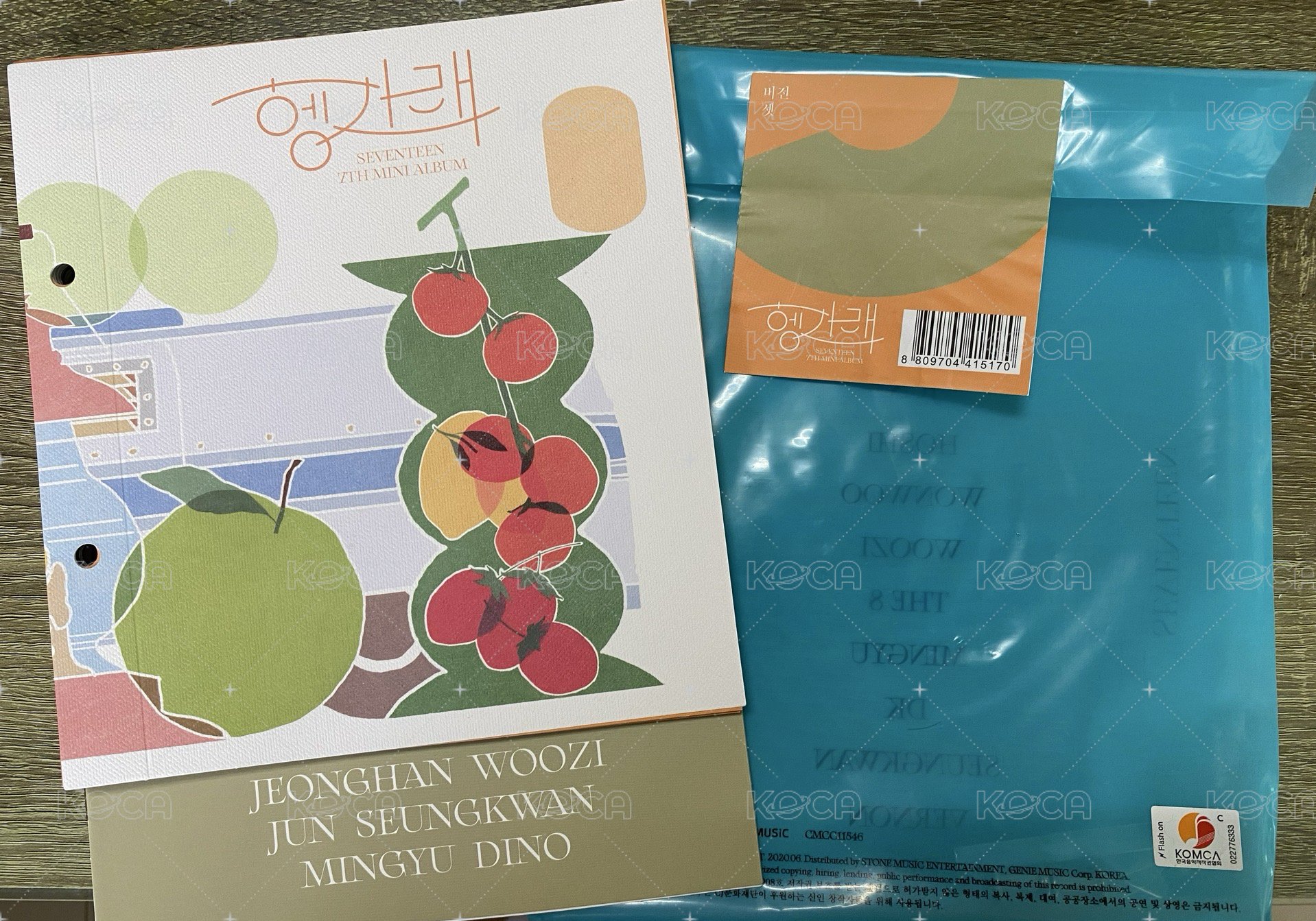 圖八 綠橘  2 4 7 9 11 13