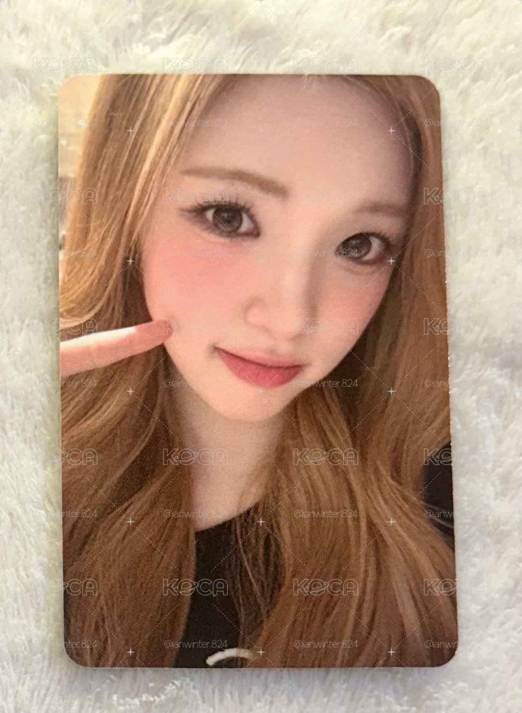 Focus sr 5.0 簽售卡yuha