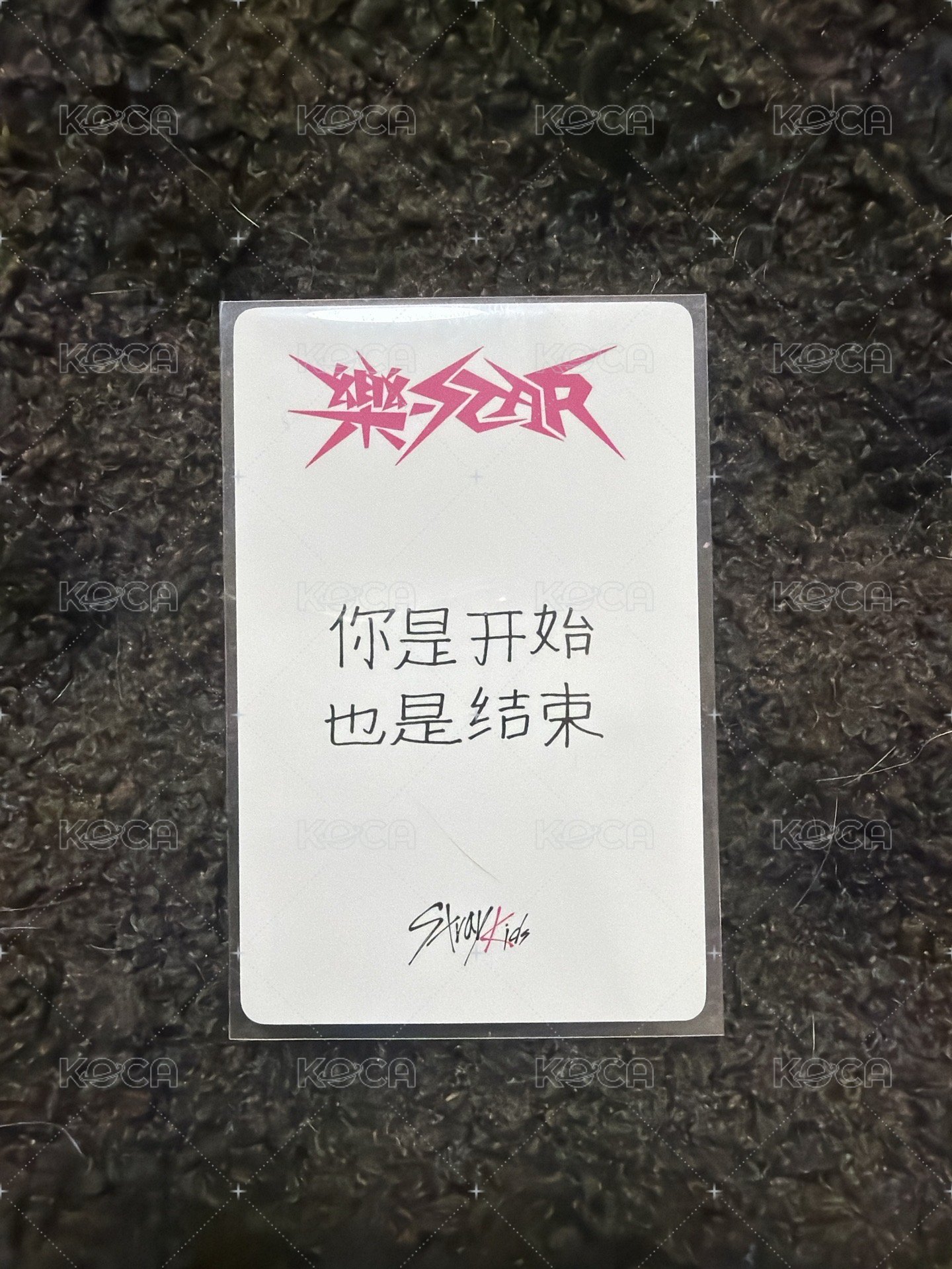 樂 一直娛 末場簽售卡