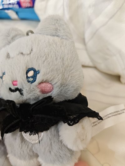 舒尼尼