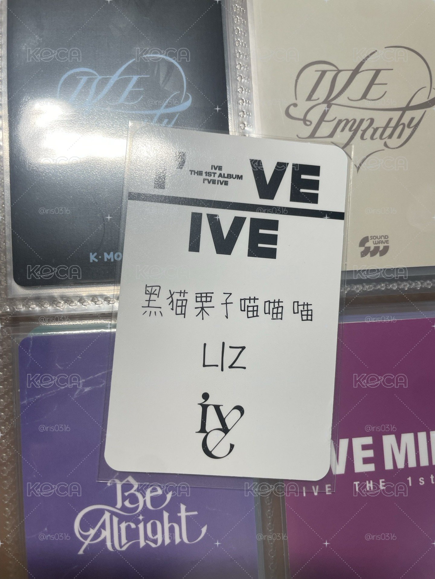 中背栗