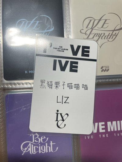 中背栗