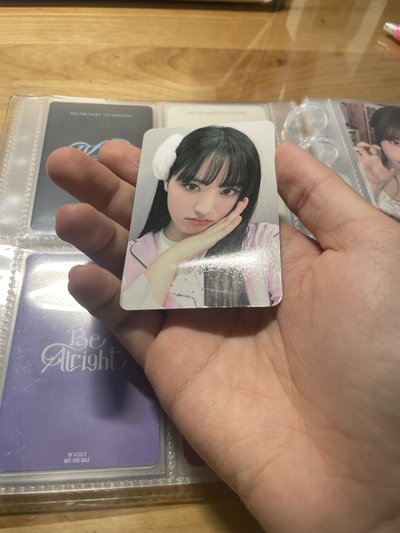 中背栗