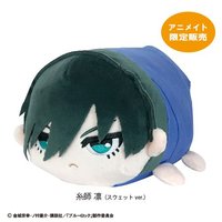 ML 趴趴Msize 娃娃 vol.3 安美限定販售